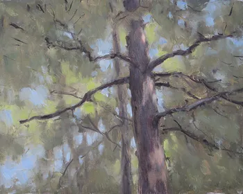 Painting Oil_Cedar_10x8